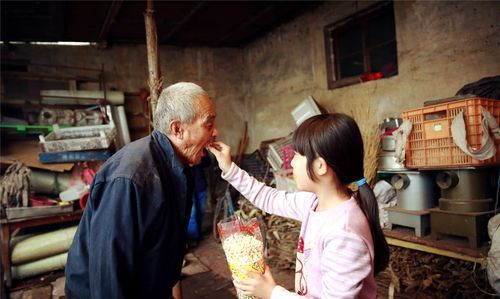 父亲先于祖父去世，孙辈有义务和叔伯平摊赡养费吗？