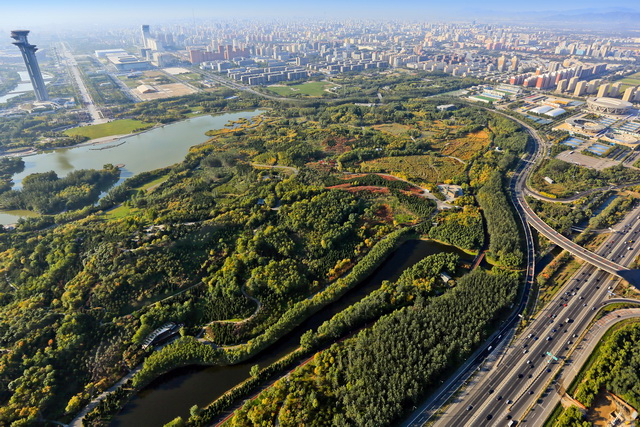 北京市自2015年以来人工造林、封山育林面积显著增加。图片提供：北京冬奥组委会