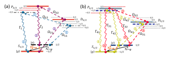 基于钙离子的量子模拟器上展现的四种不同的热力学耗散通道，图片来自论文
