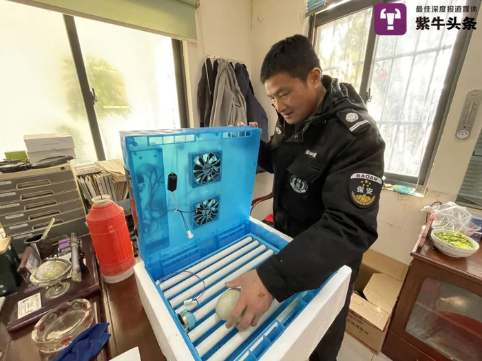 郭荣明演示小型孵化机操作