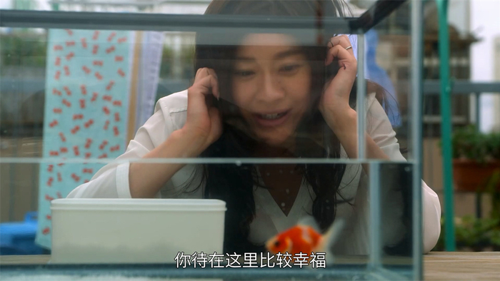 金鱼是男女主相识的契机，也是本剧的题眼。