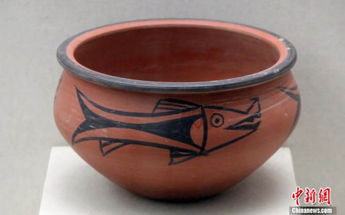 仰韶文化彩陶鱼纹。中新社发 成浩 摄
