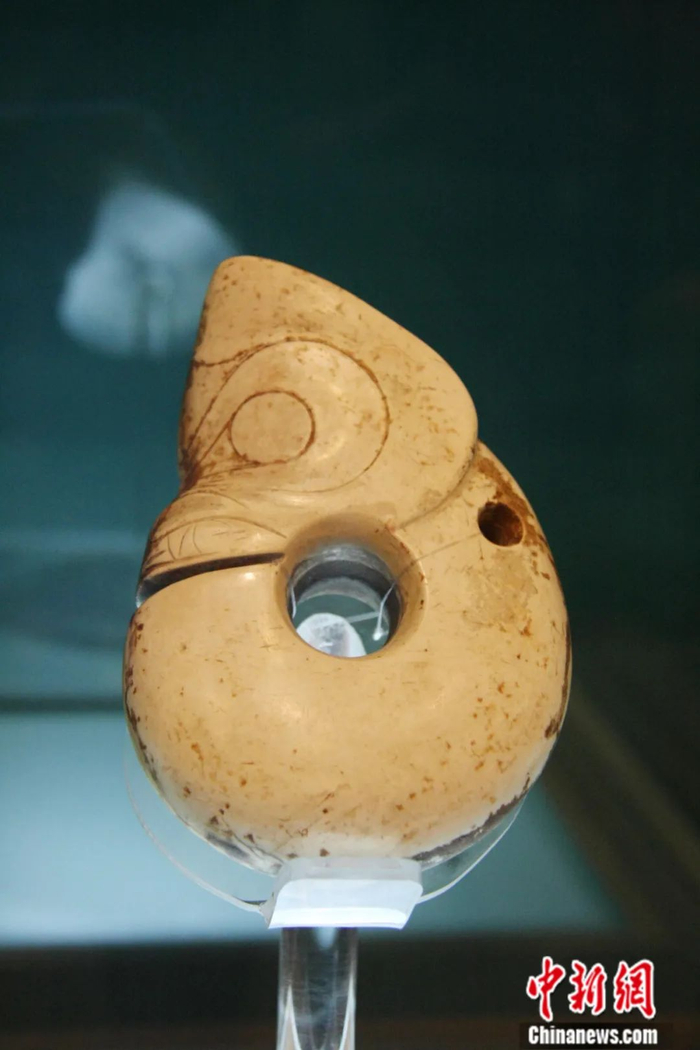 中国新石器时代红山文化表性器物之一、被誉为“中华第一龙”的辽宁“玉猪龙”。中新社记者 赵莹 摄