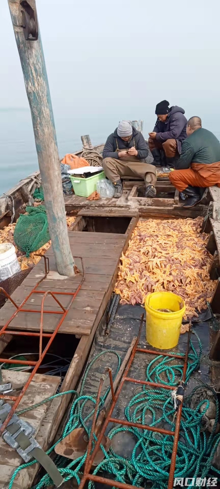 满载海星回港的渔船