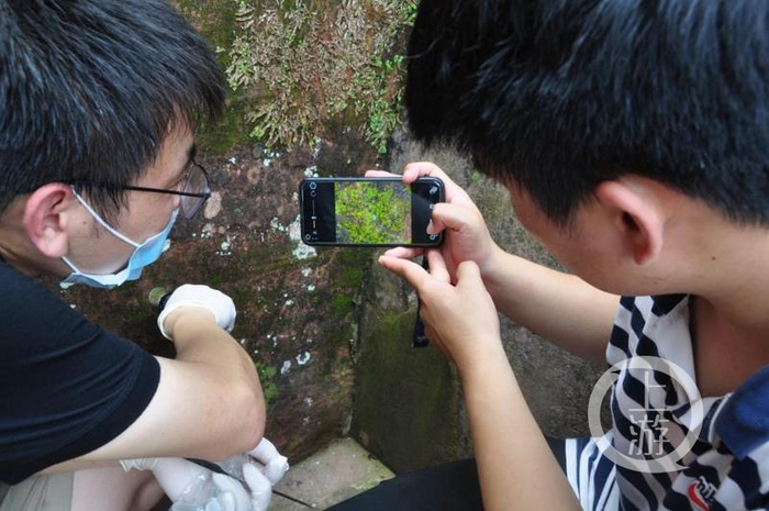 ▲2020年，浙江大学研究人员对乐山大佛生物病害进行勘测。 图片来源/浙江大学