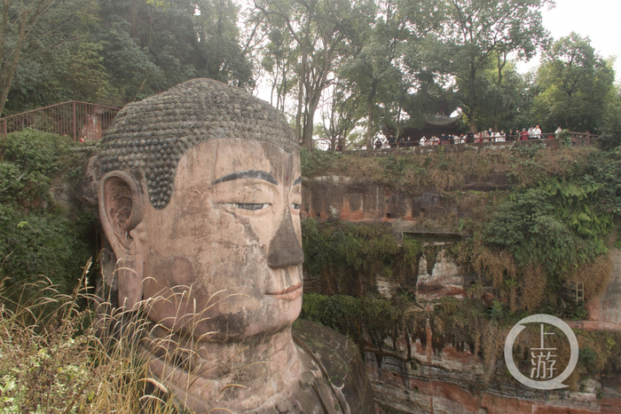 ▲2月23日，四川乐山，乐山大佛木质结构的鼻部出现了“发黑”情况。摄影/上游新闻记者 沈度