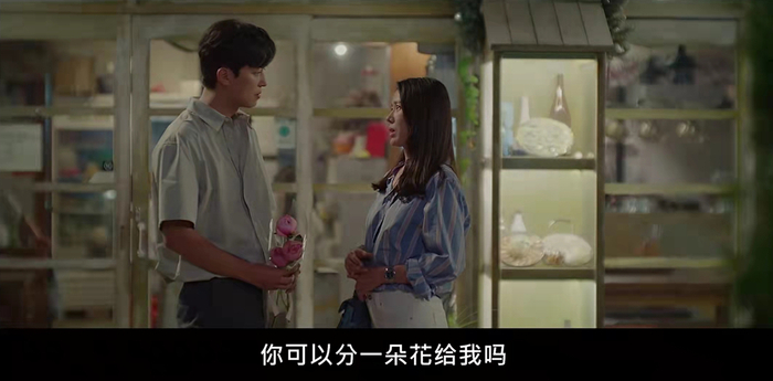 芍药这一段，看得人很心动。