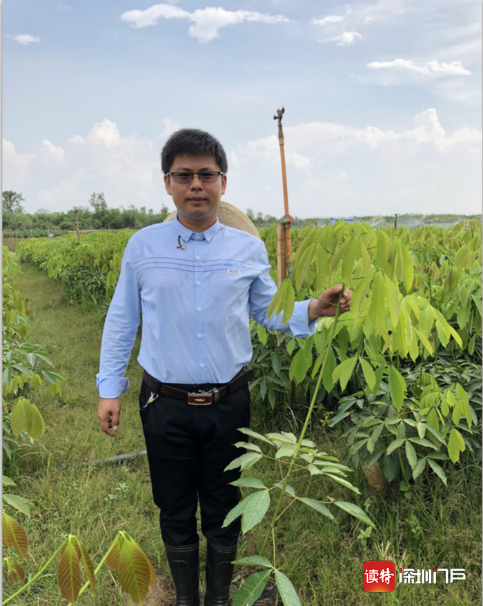 ▲甘学德生前在柬埔寨橡胶种植基地工作照。广东省农垦集团公司供图