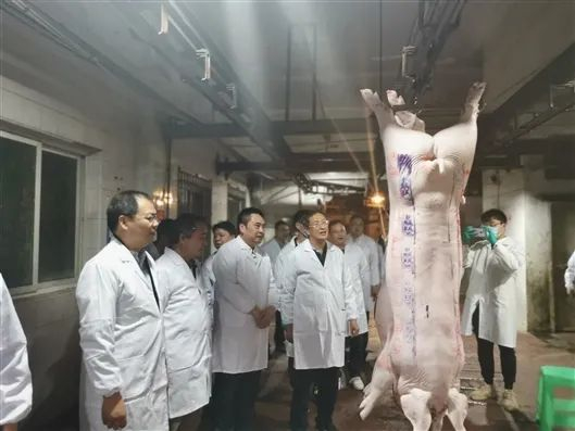 印遇龙院士（前排左四）开展生猪相关研究。受访者 供图