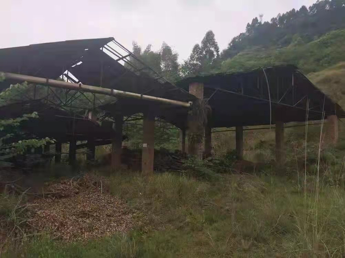 被迫关停后，林仕华的厂子已荒废。受访者供图。