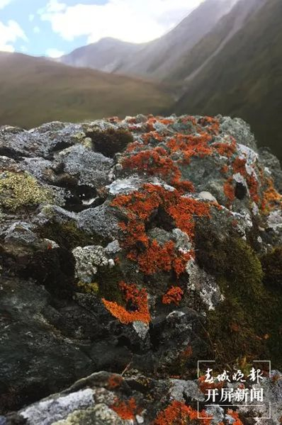 资料来源：科普中国