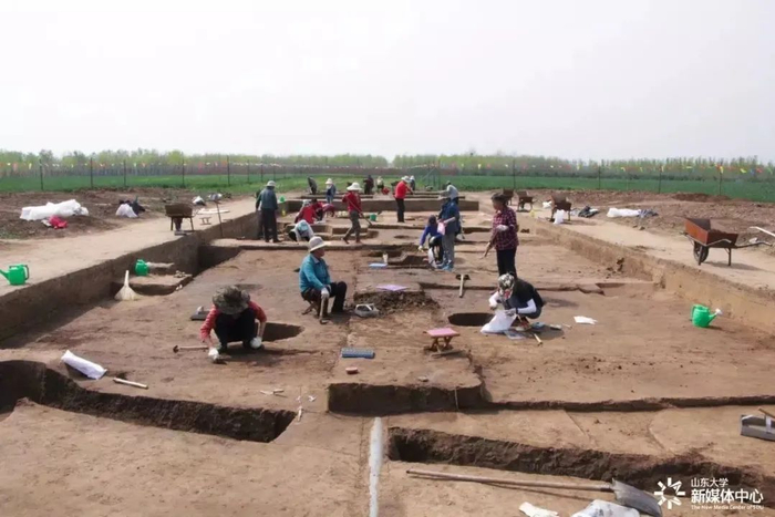 章丘焦家遗址发掘现场