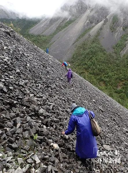 资料来源：科普中国