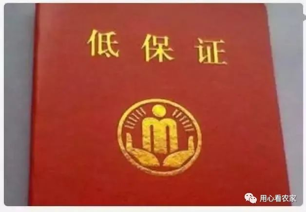 农村低保户每个月能拿多少钱,判定是否符合标准要看哪几个方面?