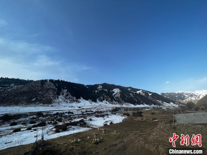 南天山脚下的塔村清晨时光。　冀江彤 摄