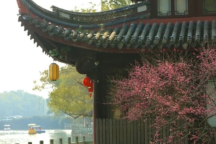 春的脚步临近，新的四季交替又将开启。