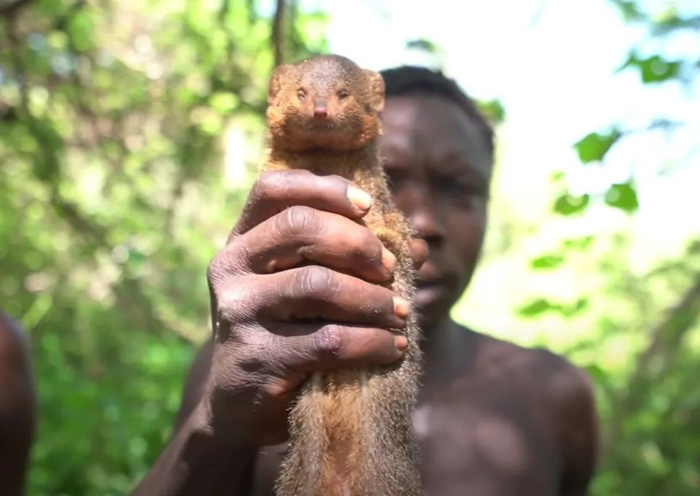 （图片来源：YouTube fearless&far）