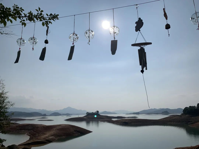 环境质量在市场上的价值被低估了吗&nbsp;&nbsp;&nbsp;图源：时代周报记者&nbsp; 黎广/摄