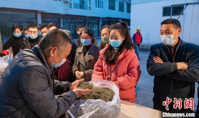 一名茶叶客商正在仔细查看茶农送来的新春茶。　刘忠俊 摄