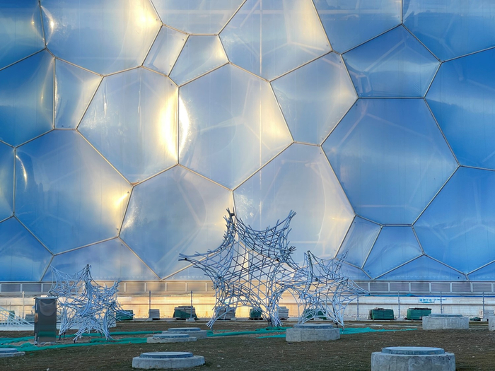 冰立方前的雪绒星。