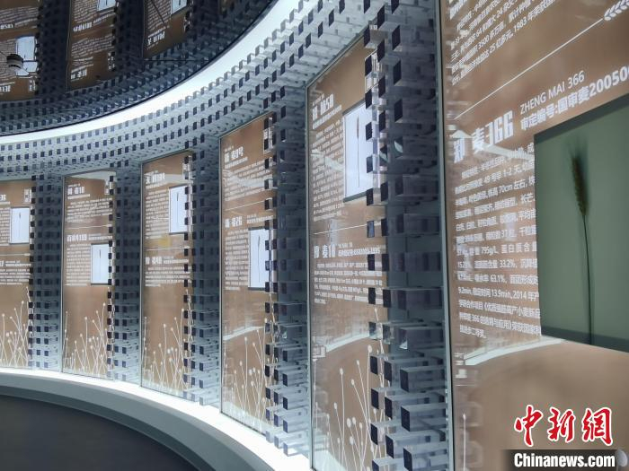 图为延津小麦文化馆里的小麦种子封存墙。　刘鹏 摄