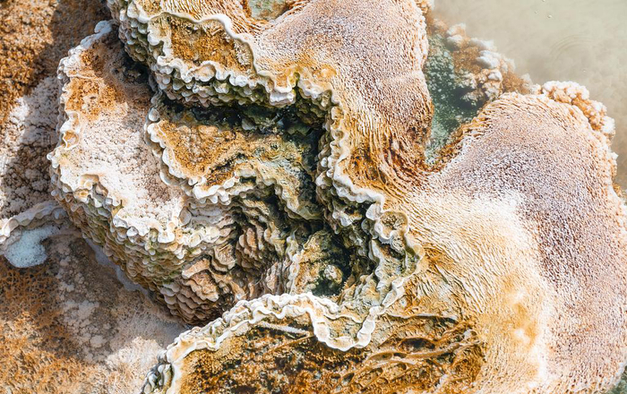 猛犸热泉与橙色矿物矿床