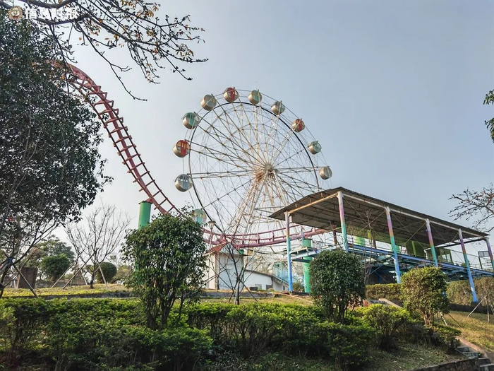 目前南湖乐园仍然在营业，入园需收取门票30元，一米以下儿童免费。信息时报记者 叶佳茵 摄