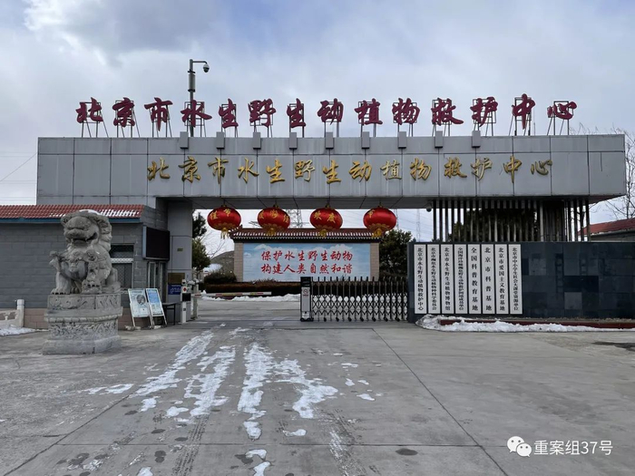 位于延庆区大榆树镇的北京市野生水生动植物救护中心。新京报记者 张静姝摄