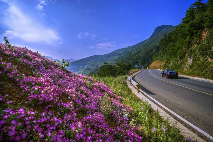 白武路上春暖花开  涪陵区交通局供图