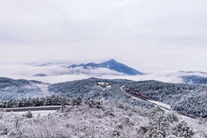 冬天白武路沿途白雪皑皑  涪陵区交通局供图