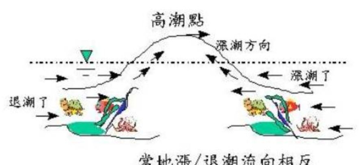 大海为何会涨潮退潮?退潮以后海水去哪了?看完长知识了