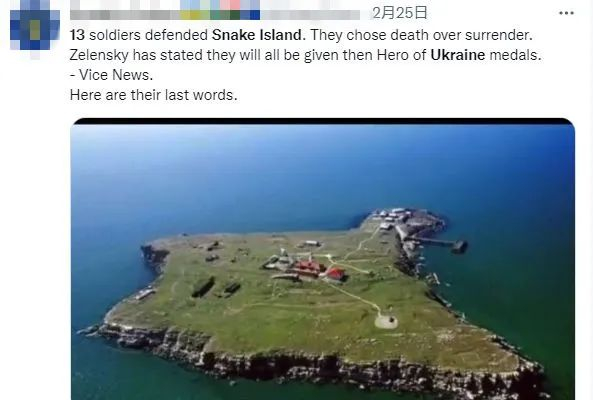 网传13名驻蛇岛乌军 “身亡”，乌总统“将授予其勋章”。图片来源：推特网页截图。