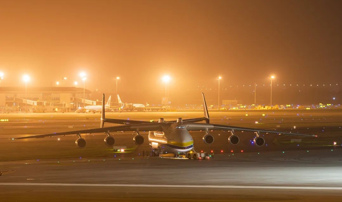 ▲2020年6月3日，天津。陶冉 摄