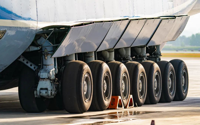 ▲2020年6月8日，天津。万全 摄