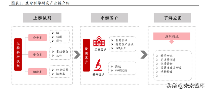鲲创生物试剂
