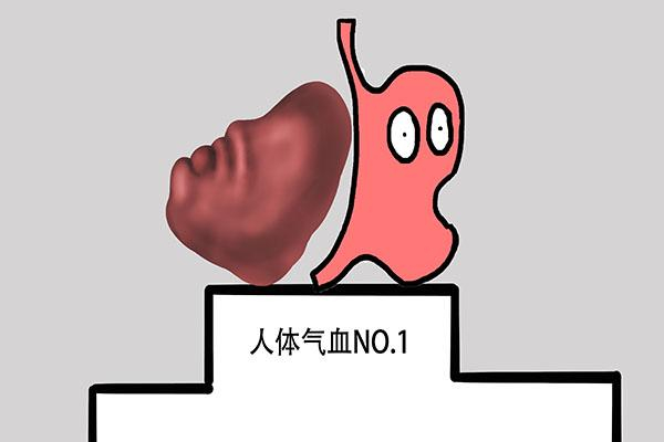 身体好不好,多亏脾运化,对照3类脾虚,跟着学调理