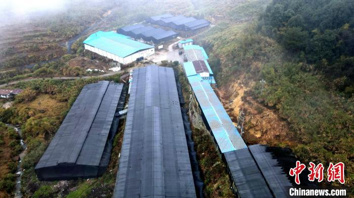 图为：老金食用菌专业合作社。　吴振湖供图