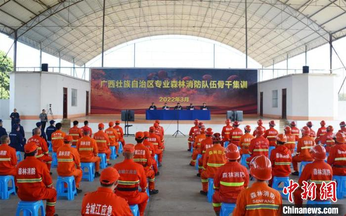 图为开训仪式现场 沈东阳 摄