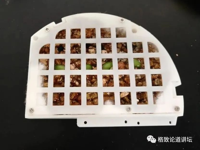 生物固定和静置。