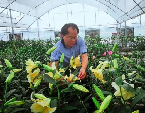 南京农业大学园艺学院教授滕年军。南农宣传部供图