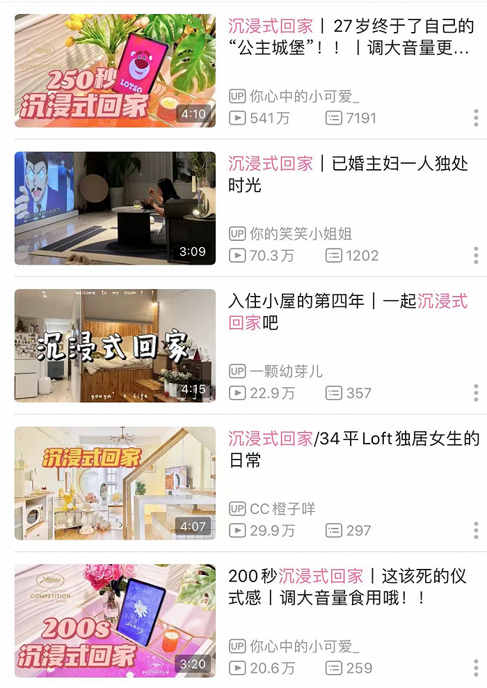 （B站搜索截图）