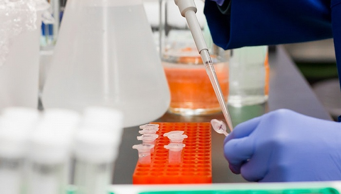 图片来源：pexels-Martin Lopez