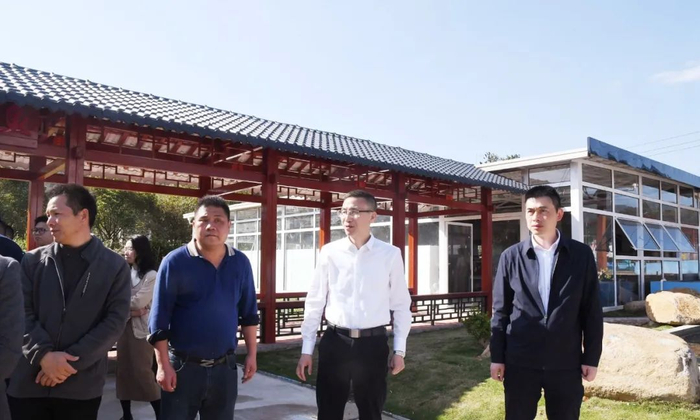 闽侯县领导赴荆溪,上街调研推进乡村振兴工作