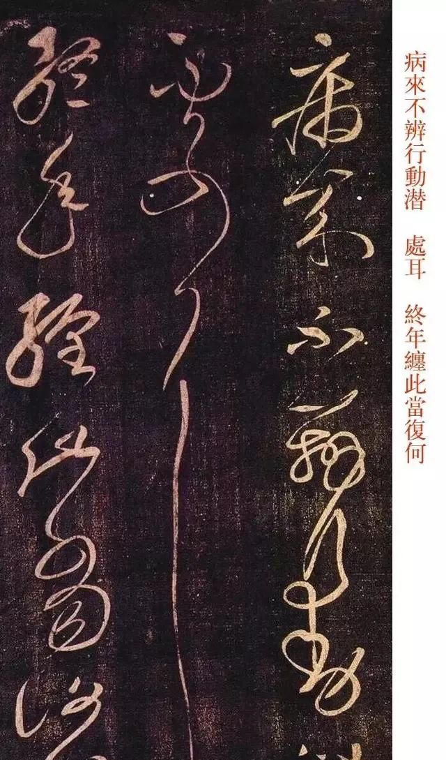 草圣张芝《冠军贴》,草书中的冠军!