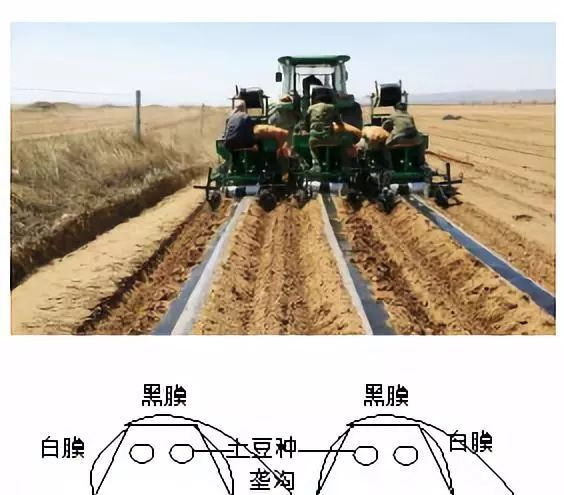 地理视角看垄沟种植|葡萄|土壤|水分|作物|地区_新浪新闻