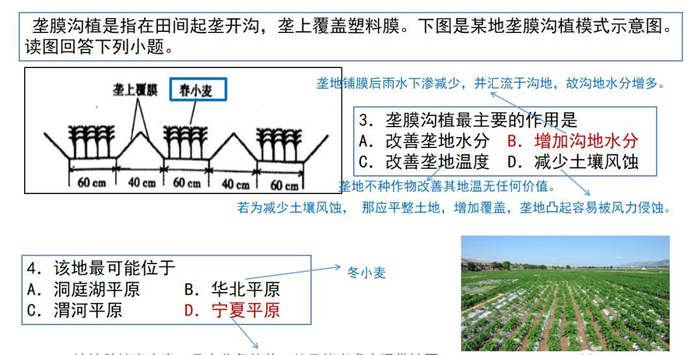 地理视角看垄沟种植|葡萄|土壤|水分|作物|地区_新浪新闻