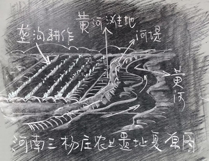 地理视角看垄沟种植|葡萄|土壤|水分|作物|地区_新浪新闻
