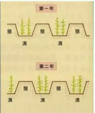 地理视角看垄沟种植|葡萄|土壤|水分|作物|地区_新浪新闻