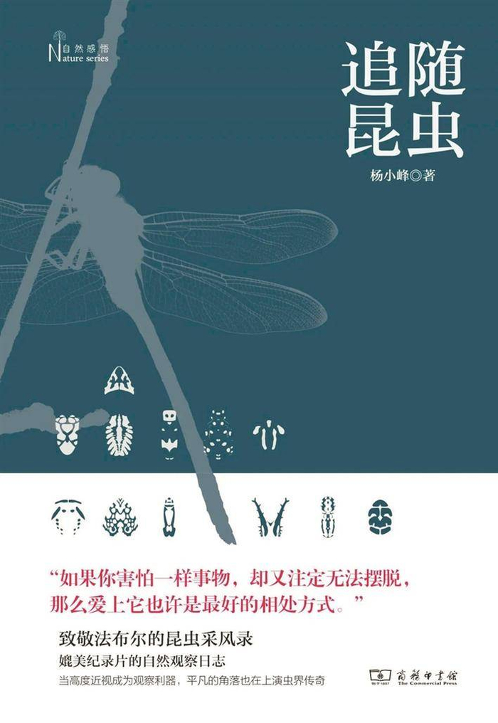 杨小峰所著的《追随昆虫》获得了首届坪山自然博物图书奖的“青年原创大奖”。 