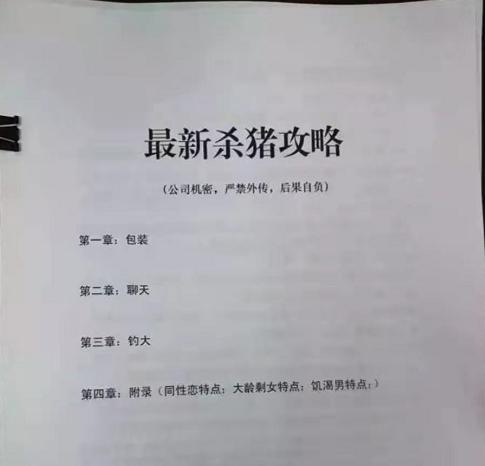 我进了一个10万人的群，里面全是诈骗犯，每天都想回国坐牢|柬埔寨_新浪新闻